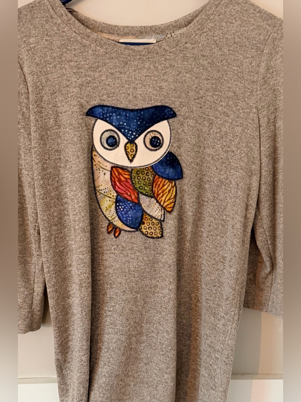 Cactus & Pearl Multicolor Owl Graphic Woman’s M Long Sleeve Top